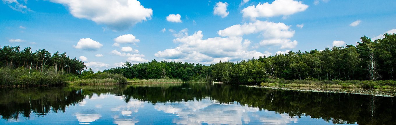Nationalpark De Meinweg - Holland.com